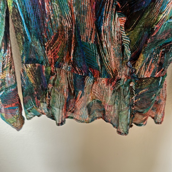 Multi colored sheer peplum long sleeve top. - Picture 5 of 5